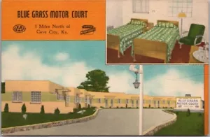 1950er CAVE CITY, Kentucky Postkarte BLUE GRASS MOTOR COURT / 3 Ansichten / Leinen - Bild 1 von 2