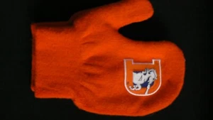 Par de guantes de invierno de acrílico y nailon con logotipo naranja estadio denver broncos de la NFL - Imagen 1 de 1
