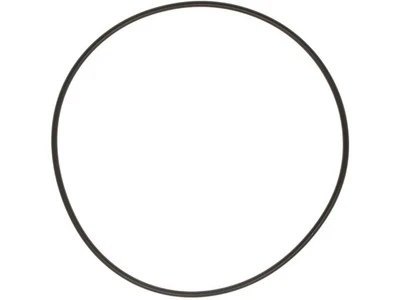 For 2003-2006 Isuzu Ascender Water Pump Backing Plate Gasket Mahle 14925XQWR Foto 1 de 2