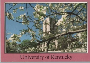 Blanding-Kirwan Komplex Universität von Kentucky Kontinentale Chrom Postkarte - Bild 1 von 2