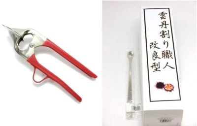 Sea Urchin Opener Stainless Steel Opening Shell Tool Improved Type with a spoon - Image 1 of 4