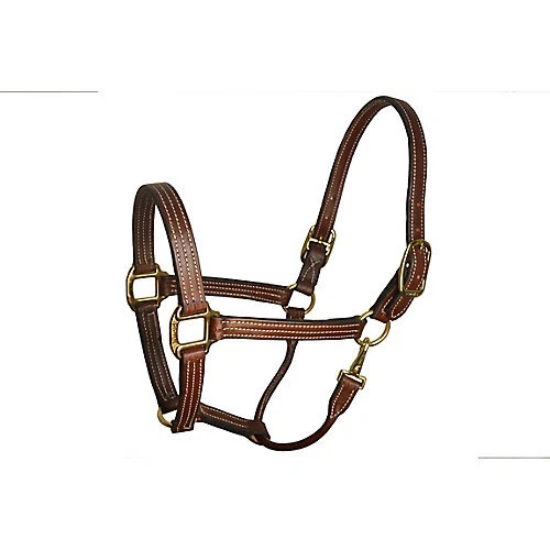Perri's Perris Leather Havana Stable Halter - Image 1 of 1