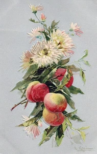 Artist  Catherine Klein Flowers and Fruit - Picture 1 of 2