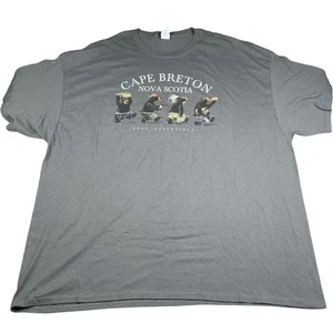 Gildan T-Shirt Herren 3XL Grau Cape Breton Nova Scotia Bear Essentials Graphic Tee - Bild 1 von 8