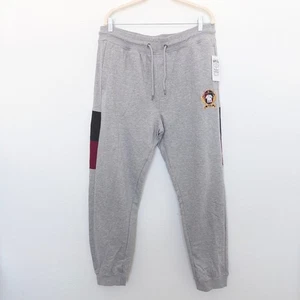 Pantalones deportivos Born Fly para hombre talla 2X gris parche logotipo joggers ropa de calle ocio - Imagen 1 de 8