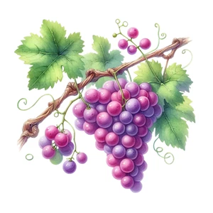 Wandtattoo Aufklebe Aquarell Obst Wandaufkleber 18X18 cm Groß - Bild 1 von 1