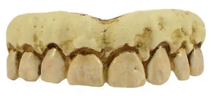 Billy-Bob Halloween Skeleton Fake Teeth - Picture 1 of 3