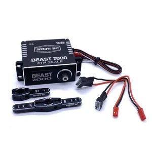 REEF's RC Beast 2000 1/5 High Torque High Speed Brushless Servo w Aluminum horns - Picture 1 of 5