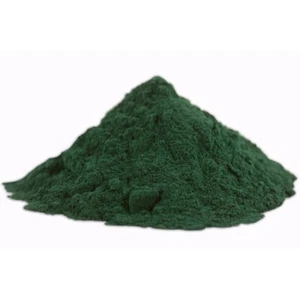 5 Kilogramm Instant Sunshine Chlorophyllin E141 Natural Green 3 lösliche Lebensmittelfarbstoffe - Bild 1 von 1