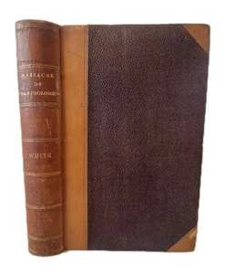 MASSAKER VON ST. BARTHOLOMÄUS / Heinrich WEISS / 1868 / Religionskriege - Bild 1 von 23