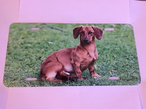 New Dachshund Metal License Plate  - Picture 1 of 1