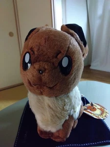 Hecho en China Pokemon Center Eevee Juguete de Peluche Tamaño Natural Grande De Colección Kawaii Japón - Imagen 1 de 4