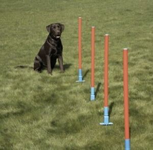 Easy Assemble Dog Pet Agility Slalom With 5 Weaving Poles Fun Exercise.