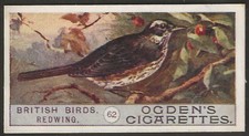 OGDENS-BRITISH BIRDS 1909 (2ND SERIES)-#062- REDWING 