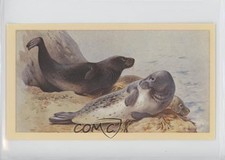 1982 Player's Grandee British Mammals Tobacco Grey Seal #8 00jz