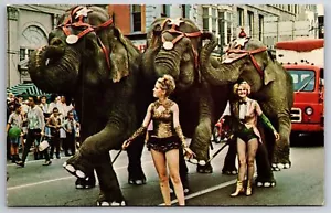 Peru IN~Elephants On Parade Lift Manicured Feet In Circus City Festival~c1960 PC - Picture 1 of 2
