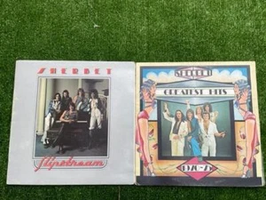 Bulk Lot of 2x Sherbet Vinyl LP Album Record Collection - Imagen 1 de 1