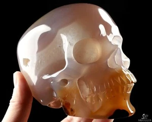 Teschio di cristallo intagliato a mano geode agata 5,2", super realistico, guarigione cristallo - Foto 1 di 9