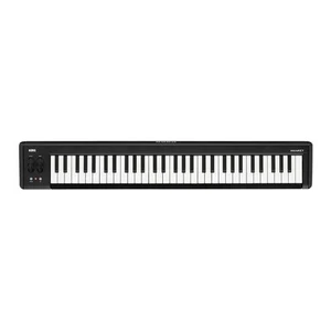 Keyboard Amplifier, 61-Key (MICROKEY261),Black - Picture 1 of 4