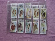 COMPLETE SET - WHITE FISH AUTHORITY - THE FISH WE EAT