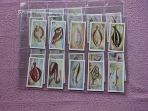 COMPLETE SET - WHITE FISH AUTHORITY - THE FISH WE EAT