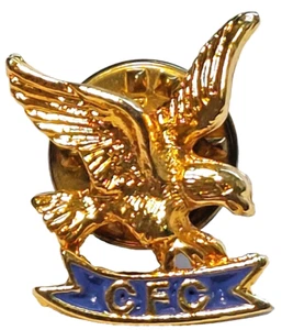 CFC (Combined Federal Campaign) Adler goldfarbene Vintage Anstecknadel - Bild 1 von 2
