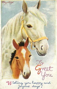 Postcard Horse & Foal To Greet You Play-time Pets G8 Bamforth A/S Taylor - Picture 1 of 2