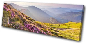 Impresión de imágenes de paisajes de rododendros de las tierras altas ARTE DE PARED DE LIENZO ÚNICO - Imagen 1 de 1