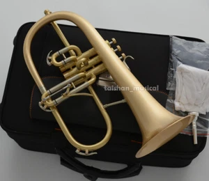 Gold Brass Brushed Flugelhorn WEIBSTER WFH-8310 High Grade Flugel FREE SHIPPING - Picture 1 of 3