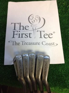 Nicklaus The Bear Iron Set 6-PW Regular Graphite Shafts - Picture 1 of 8