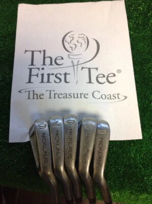 Nicklaus The Bear Iron Set 6-PW Regular Graphite Shafts - Image 1 of 4