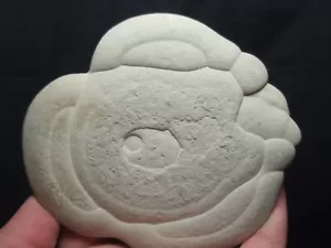 Fairy Stone, Clay Concretion from Quebec, Canada 5"x4.5" (10.1 oz) - Picture 1 of 4