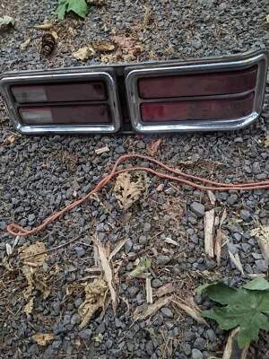 1973 Pontiac Catalina Bonneville lanterna traseira passageiro DIREITA FABRICANTE DE EQUIPAMENTO ORIGINAL - Imagem 1 de 3