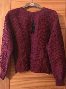 Brand new Zara ruffle mesh sweatshirt sz Large - Picture 1 of 3