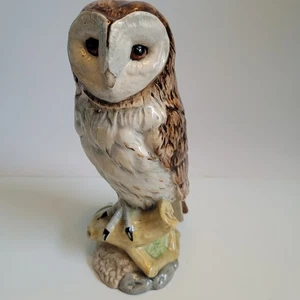 Figura Beswick Beneagles Barn Owl John Tongue 1984 jarra de whisky ¡Descripción! - Imagen 1 de 22