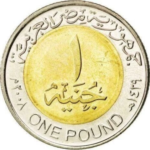 Gold Egyptian 1 Pound Coin Featuring King Tut 100% Authentic Cover