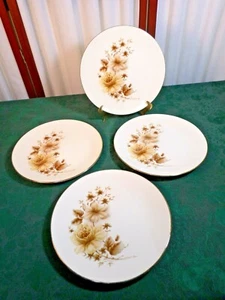 4 Beautiful VintageTaylor Smith & Taylor Victoria Floral Ironstone Dinner Plates - Picture 1 of 8