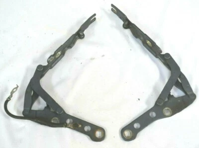 BMW E46 2004 2005 330CI 325CI JUEGO DE 2 BISAGRAS CAPÓ IZQUIERDA Y DERECHA PAR OEM AZUL Foto 1 de 4