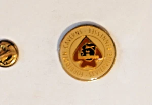 Spilla da bavero vintage Forbidden Caverns Severville Tennessee souvenir montagna fumosa - Foto 1 di 3