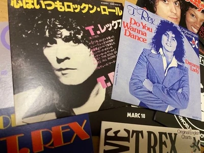 MARC BOLAN T-Rex Singles Box Set 11 Vinyl Records Unplayed Glam Rock Used - Imagem 1 de 4