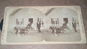 Helena Montana Stereoview EH treno fotografi residenza & G. Olin con carrello per cani - Foto 1 di 1
