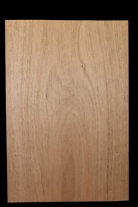 Cuerpo de guitarra africana de caoba/kaya en blanco 1 pieza. - Imagen 1 de 4