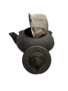 Vintage Nanbu tekki Iwachu Iron Sencha Tool Teapot - Picture 1 of 4
