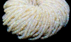 Good Quality 16" Long Ethiopian Opal Smooth Rondelle Beads Size 3-3.5 MM - Picture 1 of 7
