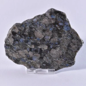 Llanite Que Sera Stone Polished Slice Freeform Specimen Display Piece 114mm - Foto 1 di 4