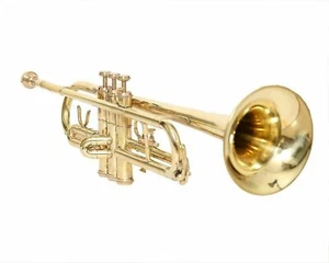 Sai Musical Trumpet Bb Black With Case Mouthpiece Nicely Tuned Instrument,, - Picture 1 of 3