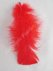 Red Craft Feathers Turkey Plumage per one ounce package - Picture 1 of 2