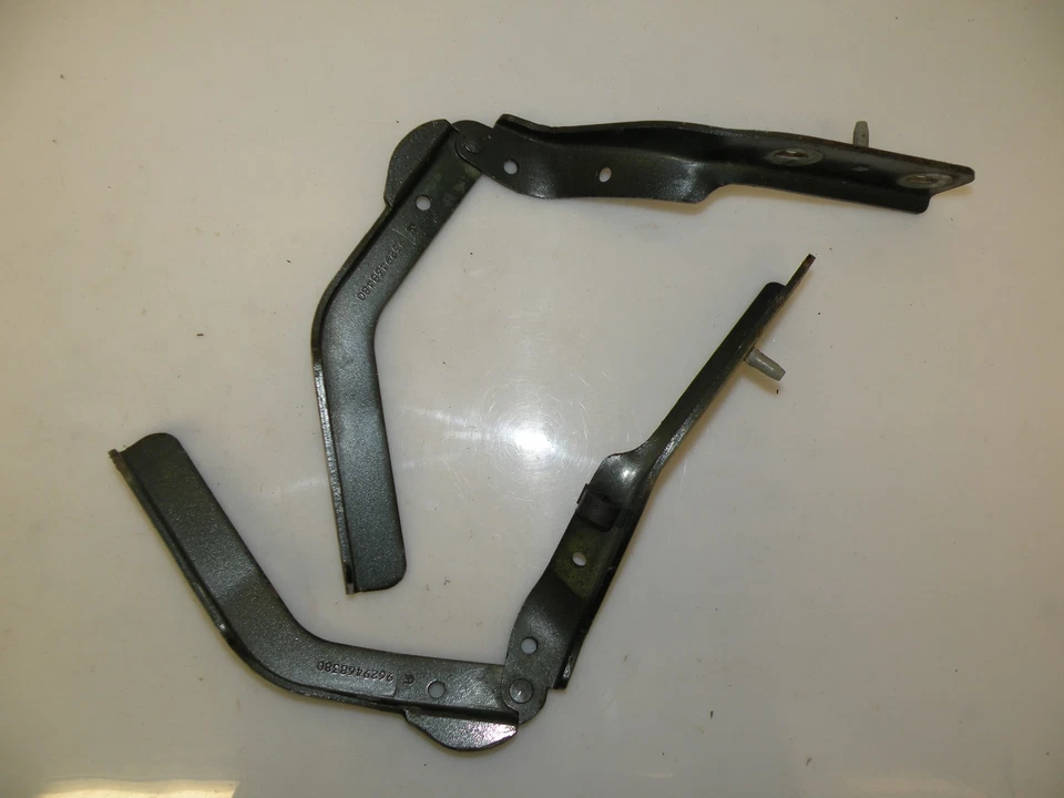 PEUGEOT 607 2003 CAPÓ DELANTERO IZQUIERDO DERECHO BISAGRAS BISAGRA GRIS OEM 9629468380 Foto 1 de 4