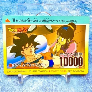 Goku Still Suffers, Worried Chi-Chi Hopes for Recovery - Japan Dragon Ball Z PP - Picture 1 of 1