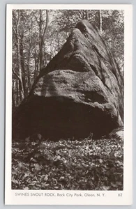RPPC Swines Snout Rock, Rock City Park Olean New York NY Real Photo Postcard - Picture 1 of 2